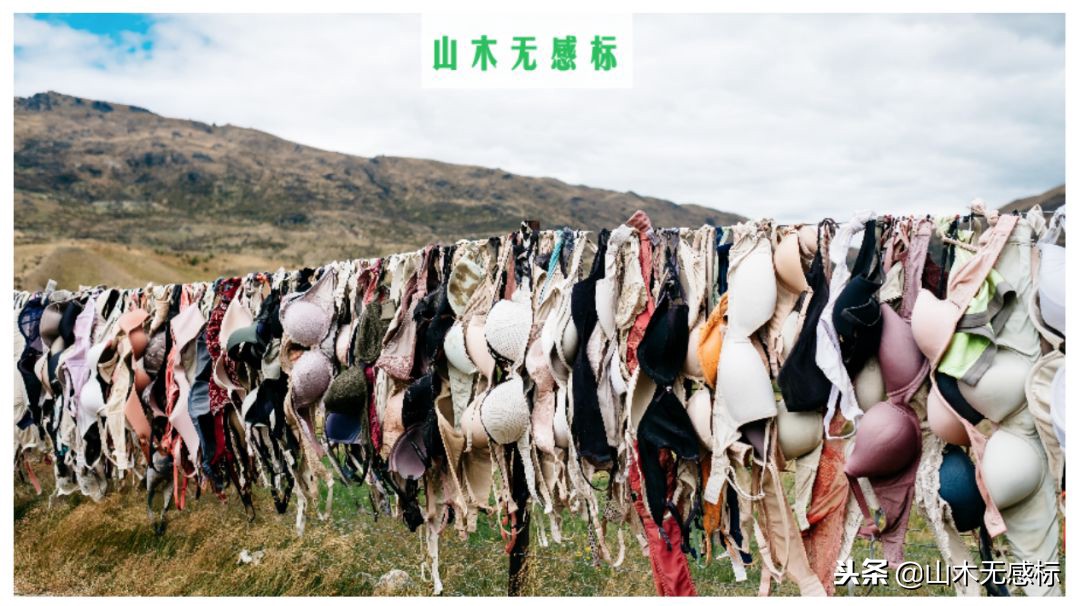 如何挑选自己合适的文胸,小胸怎么挑选美背文胸胸垫