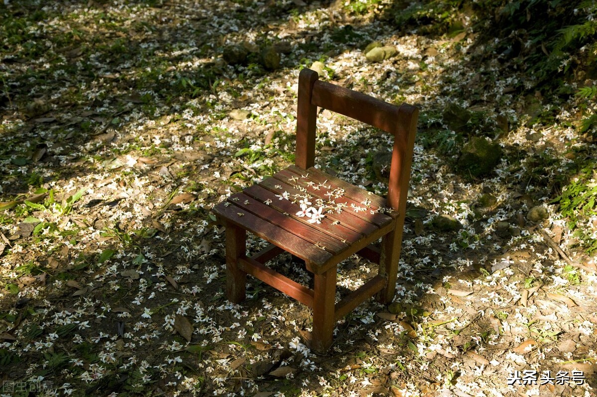 油桐花开时,四月又到油桐花开时