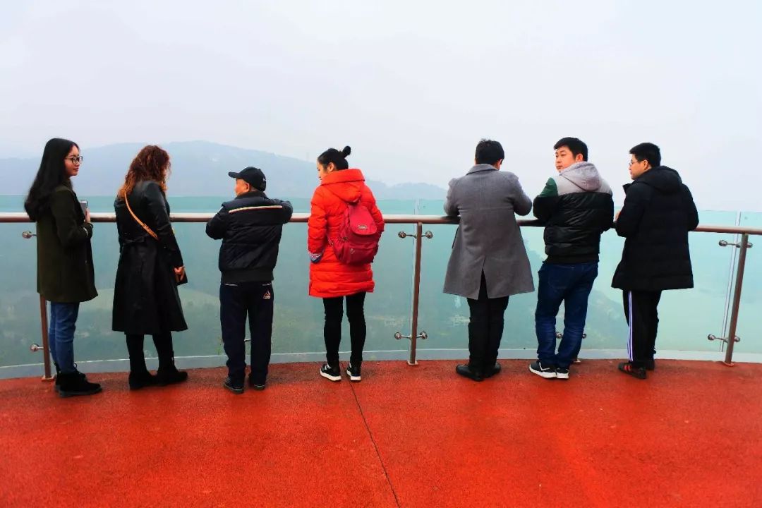 重庆铁山坪森林公园有什么好玩的,重庆赏花一日游最佳去处