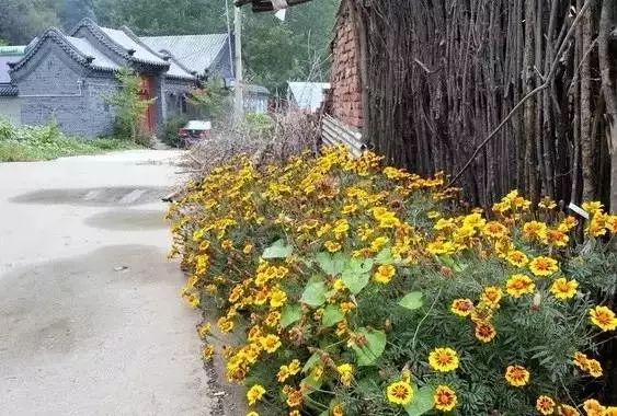 密云古村落古城堡,密云隐秘的美景