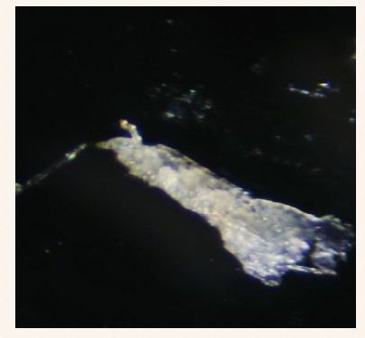 去黑头简单粗暴,去黑头不入坑