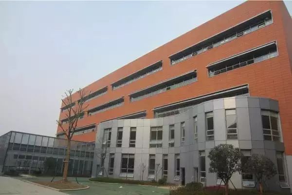 揭秘武汉最难进的学校,武汉市最难进的学校