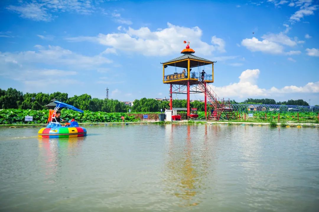 济南湿地公园值得去吗,济南湿地公园旅游攻略