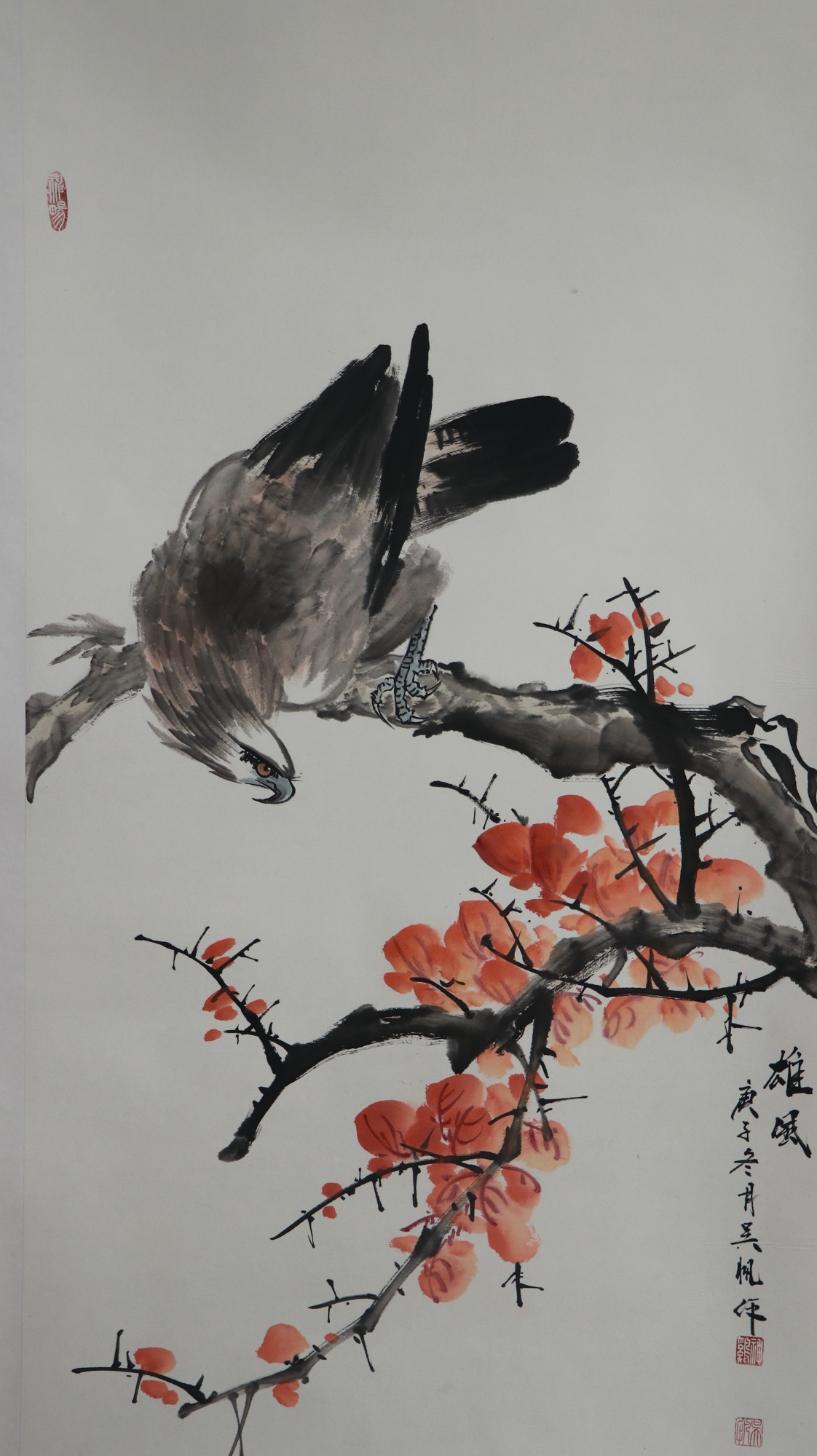 鹰为什么战斗力强,鹰为什么战斗力大