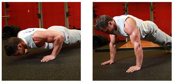 女士哑铃初学训练动作大全,肱二头肌哑铃训练动作视频女子