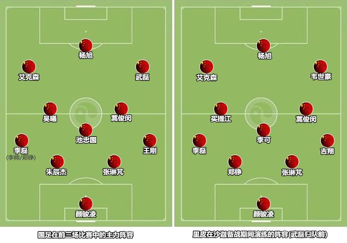 野牛进家,野牛加入国家队