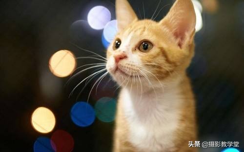 手机摄影光圈怎么调,摄影光圈快门基础知识