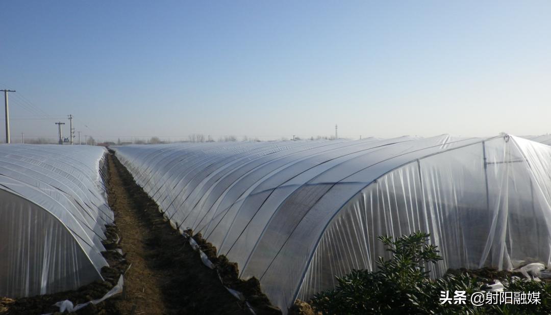 全市唯一！射阳的这个村不简单，再次入选“国字号”名单