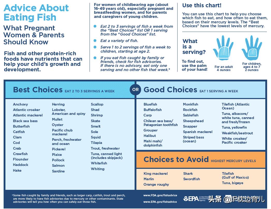 孕期能吃汞含量高的鱼吗,这三种鱼含汞量超标