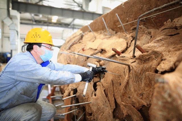 大连座头鲸标本,大连标本制作工厂