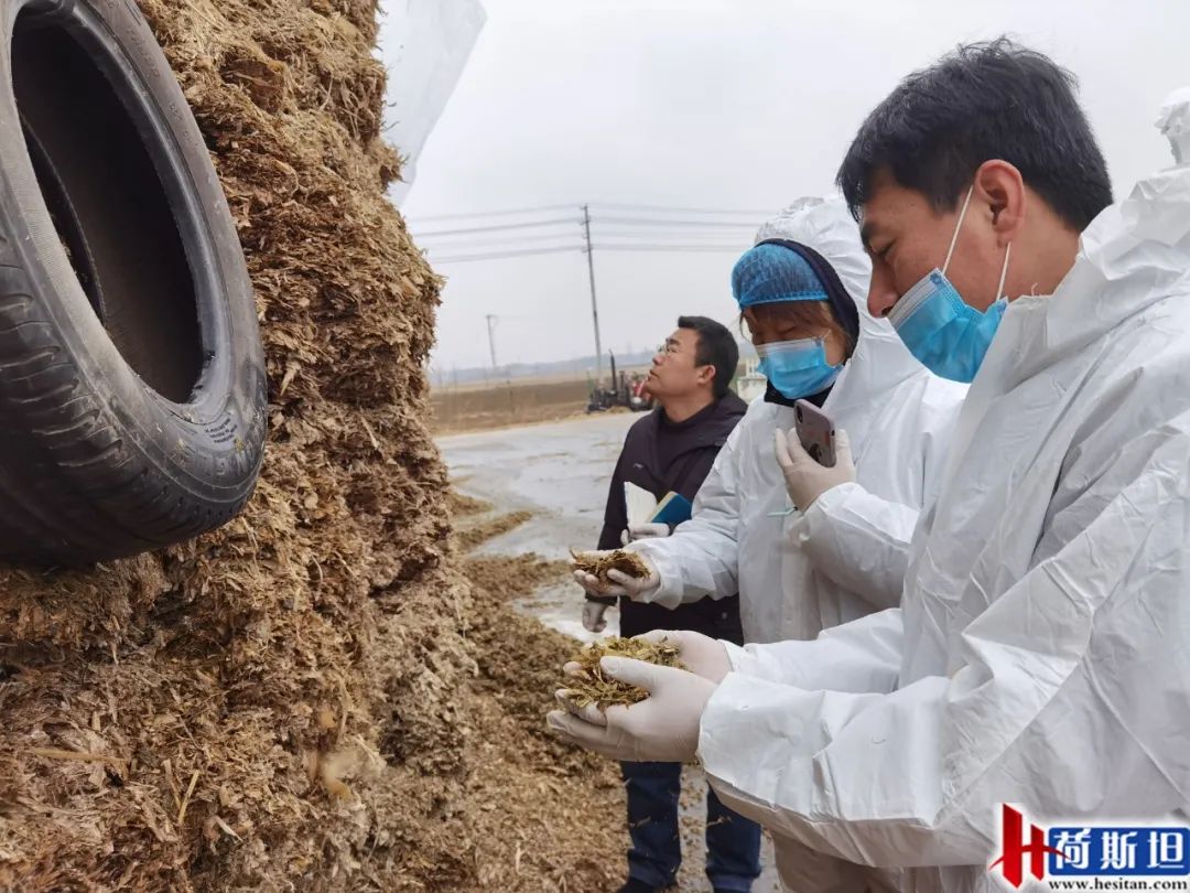 走进乐源君邦和邢台君兴丨中瑞项目她来了