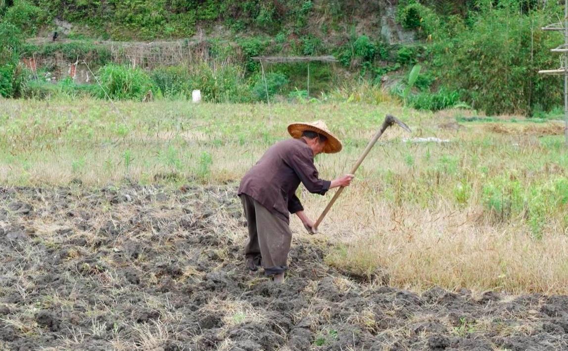 老话讲,“农村不作颠,街上不冒烟”,认识农村的重要性