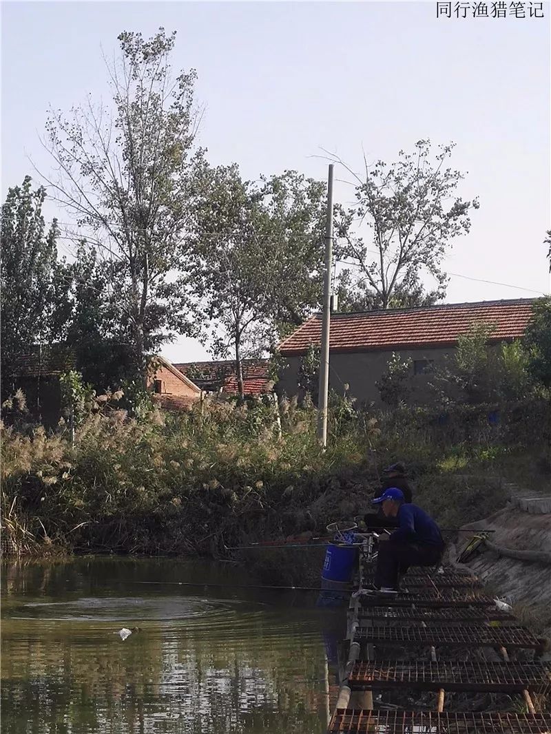 钓鱼笔记1,钓鱼笔记最新视频