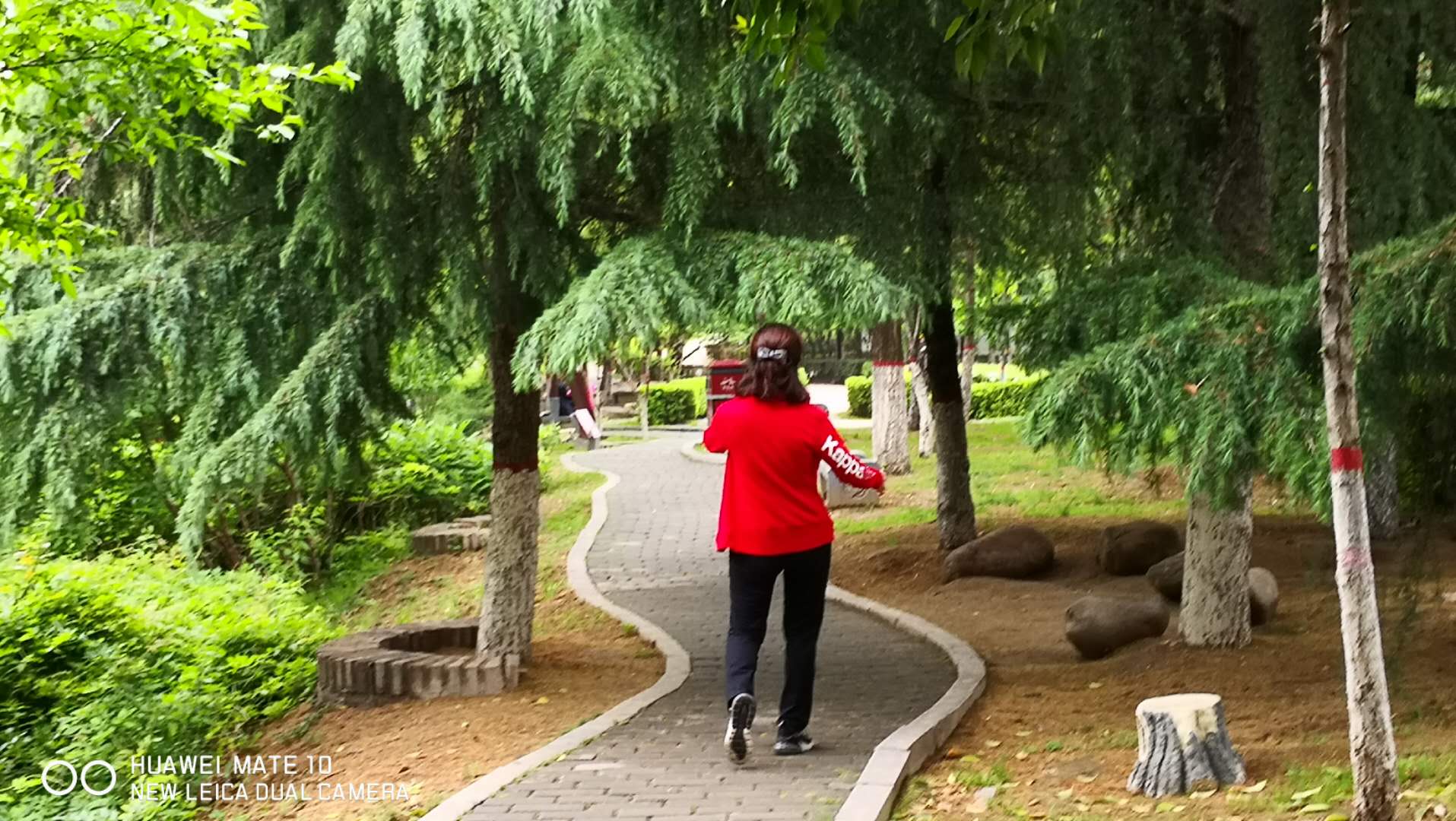 一天去哪玩西安,免费西安一日游的绝佳去处