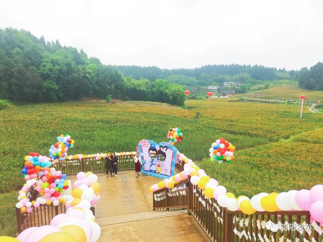 振兴川红花过上红火日子