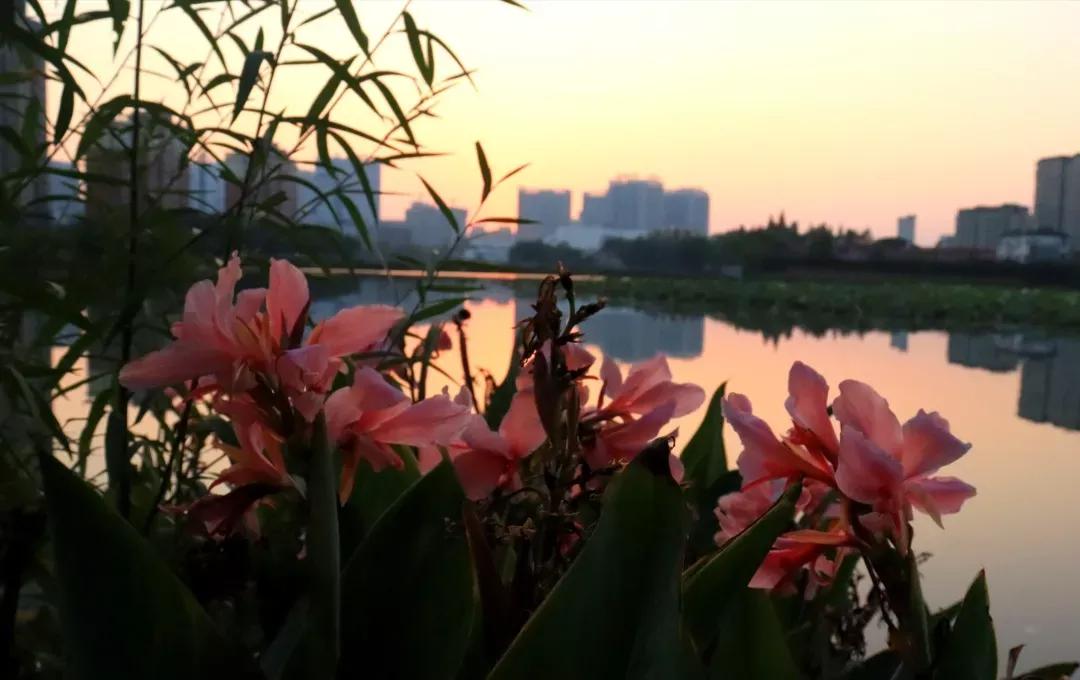 安徽13所一本大学名单,安徽省高校简介