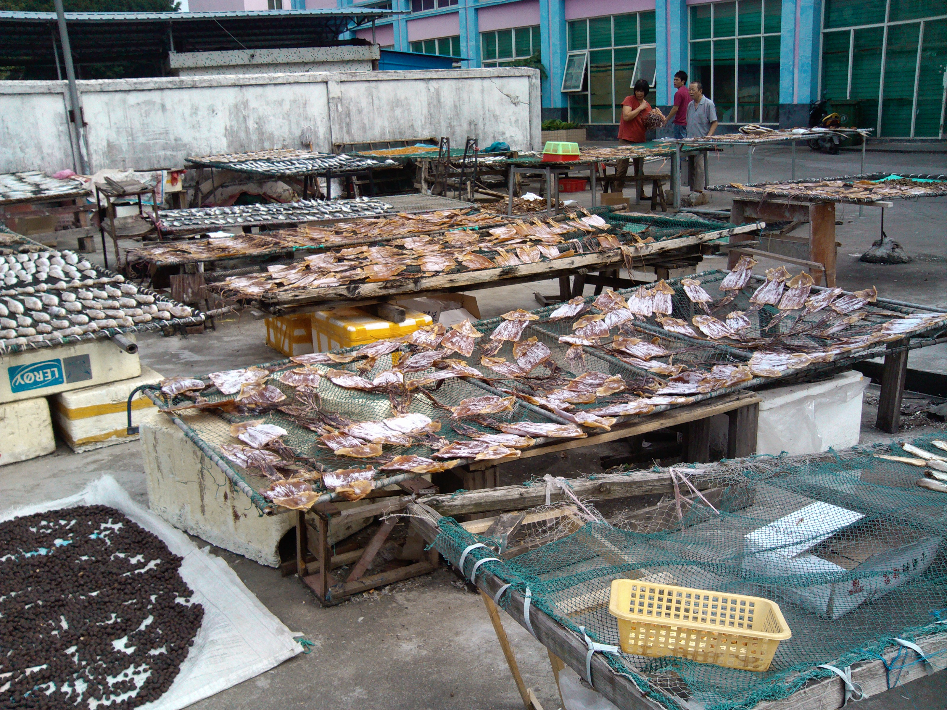 珠海石景山公园攻略,珠海澳门环岛游时间表