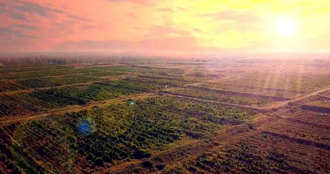 双11红酒排名,双11葡萄酒推荐