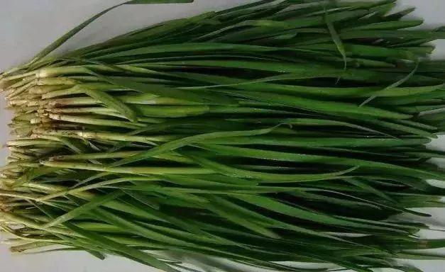 “晚上出来方便吗”“不了，我家有厕所”直男聊天记录曝光，笑疯