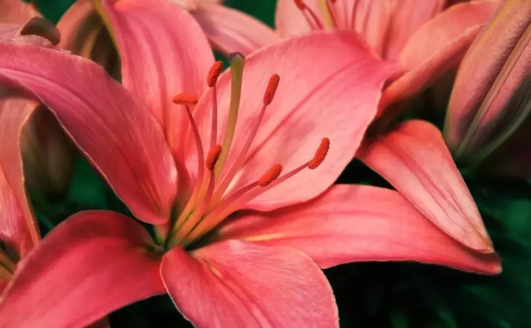 潘通色卡2020电子版色号对照表,潘通色卡历年流行色