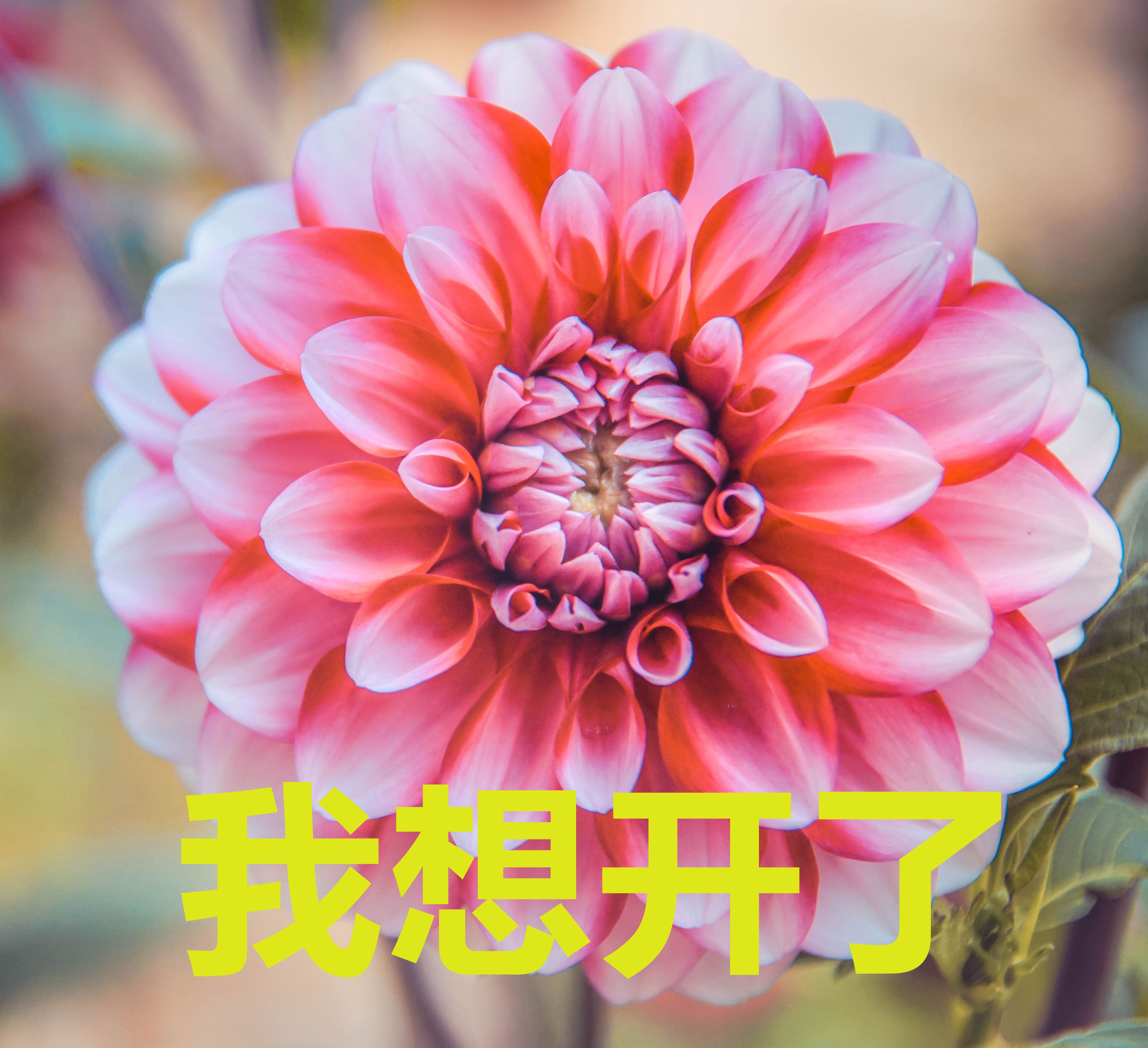 揭秘减肥背后的10个真相,减肥者的真实减肥经历