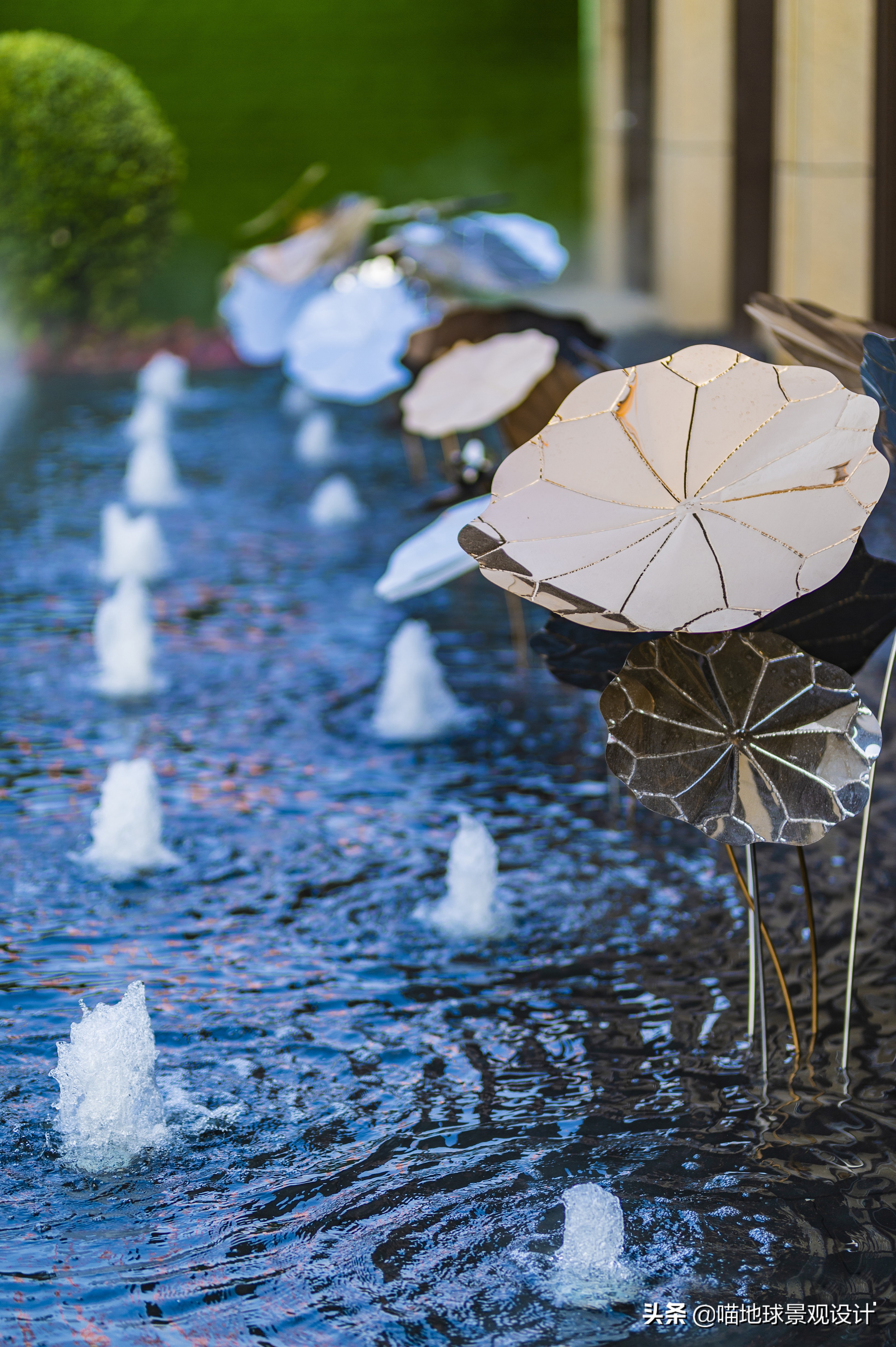 庭院景观设计60平,景观庭院设计大型造景