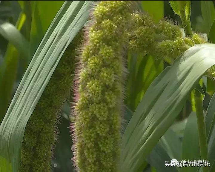 壮丽70年奋斗新时代相关资料,壮丽70年奋斗新时代总结