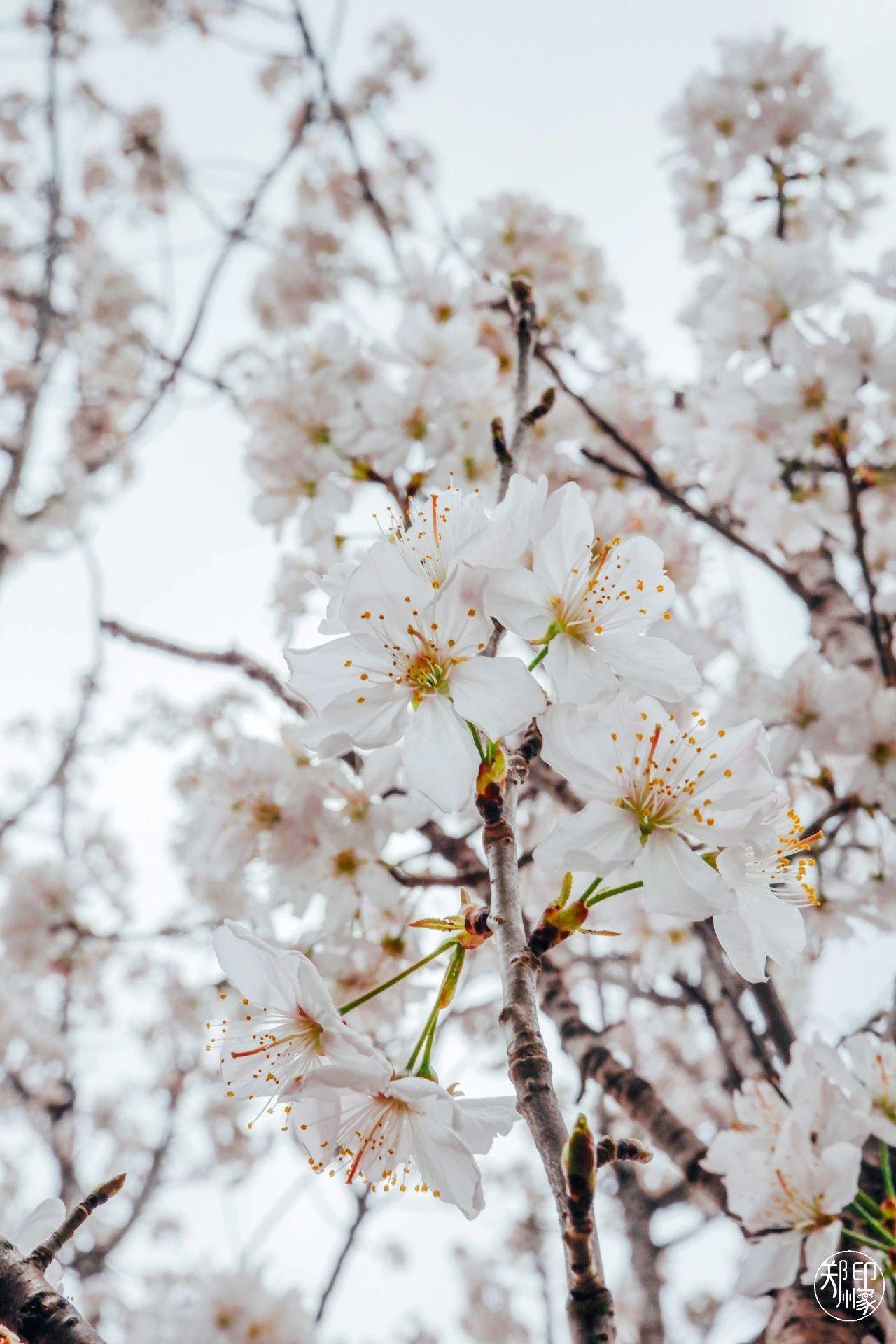 娴庡崡骞寸粓鎬荤粨鎶ュ憡,鍚堣偉骞寸粓鎬荤粨鎶ュ憡