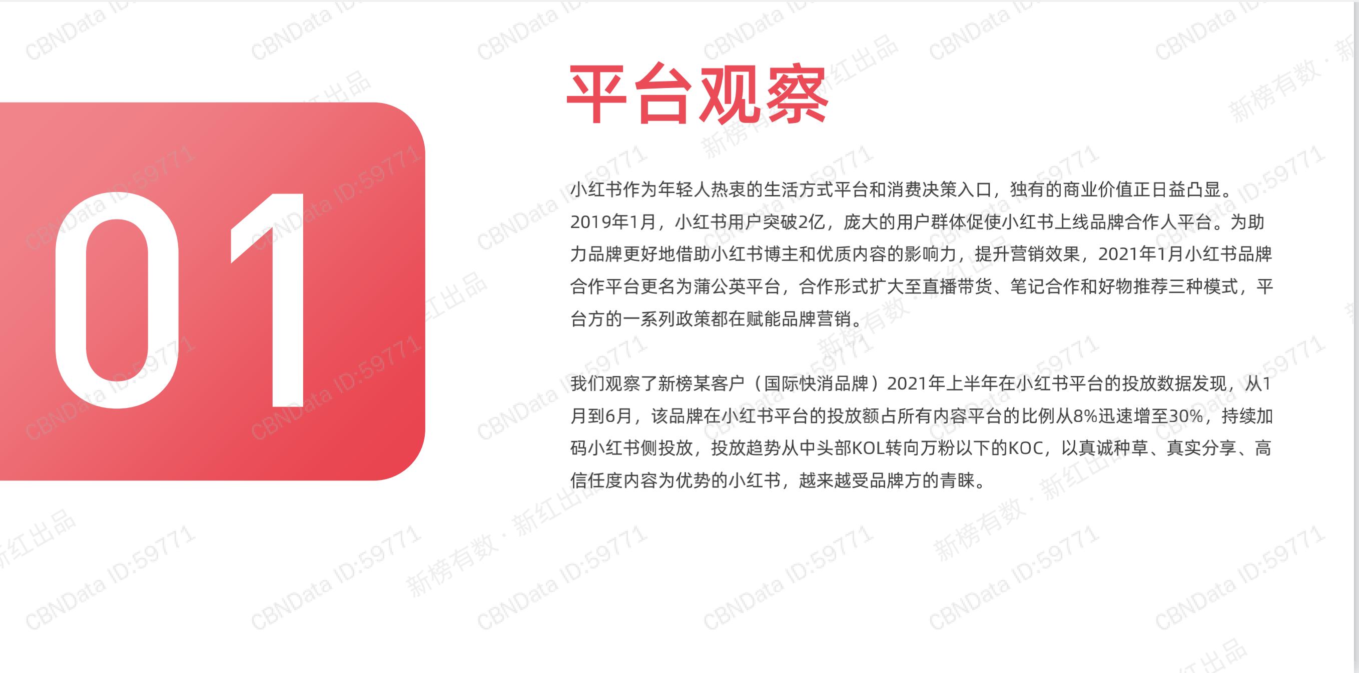 小红书营销策略ppt,小红书种草营销策划ppt