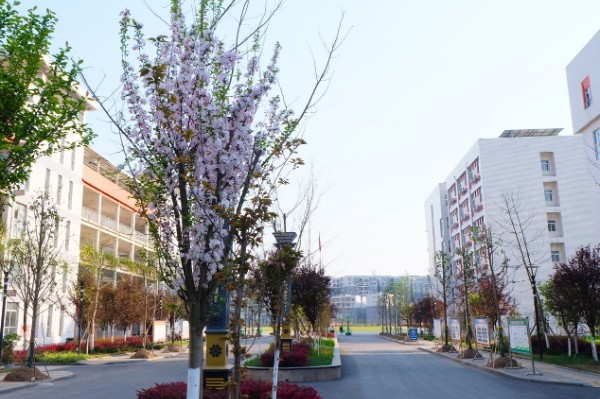 巴中市第四中学西华山春游,春游高一