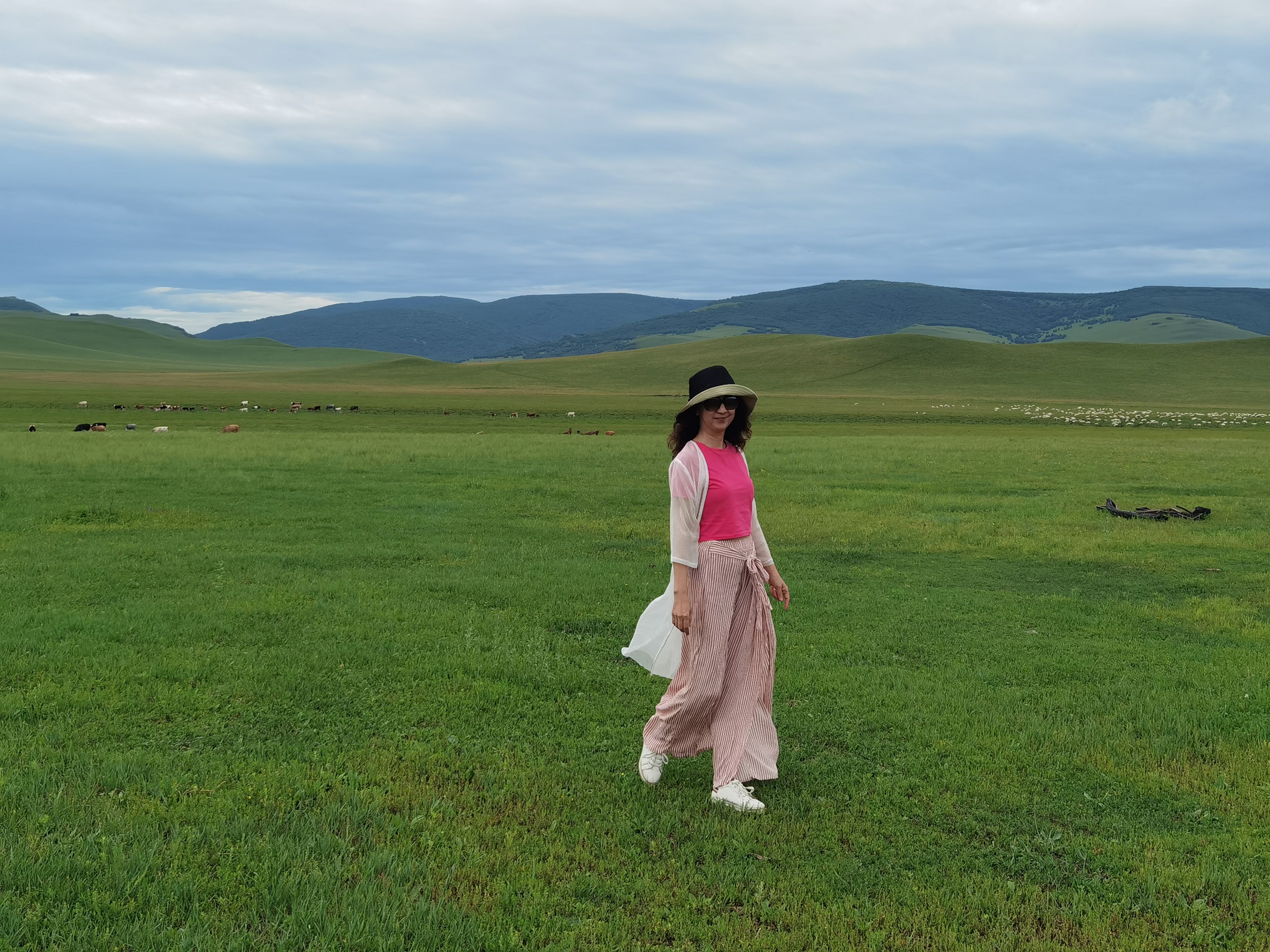 锡林郭勒草原冬天骑马,锡林郭勒盟大草原骑马