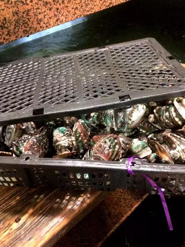 渤海当季海鲜推荐,中国渤海海鲜