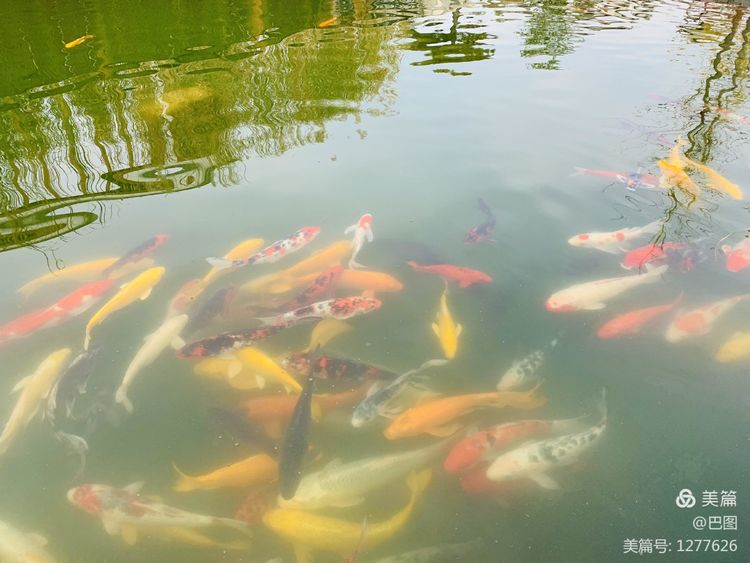 洛阳市宜阳凤凰岭射箭,宜阳县凤凰岭体育基地