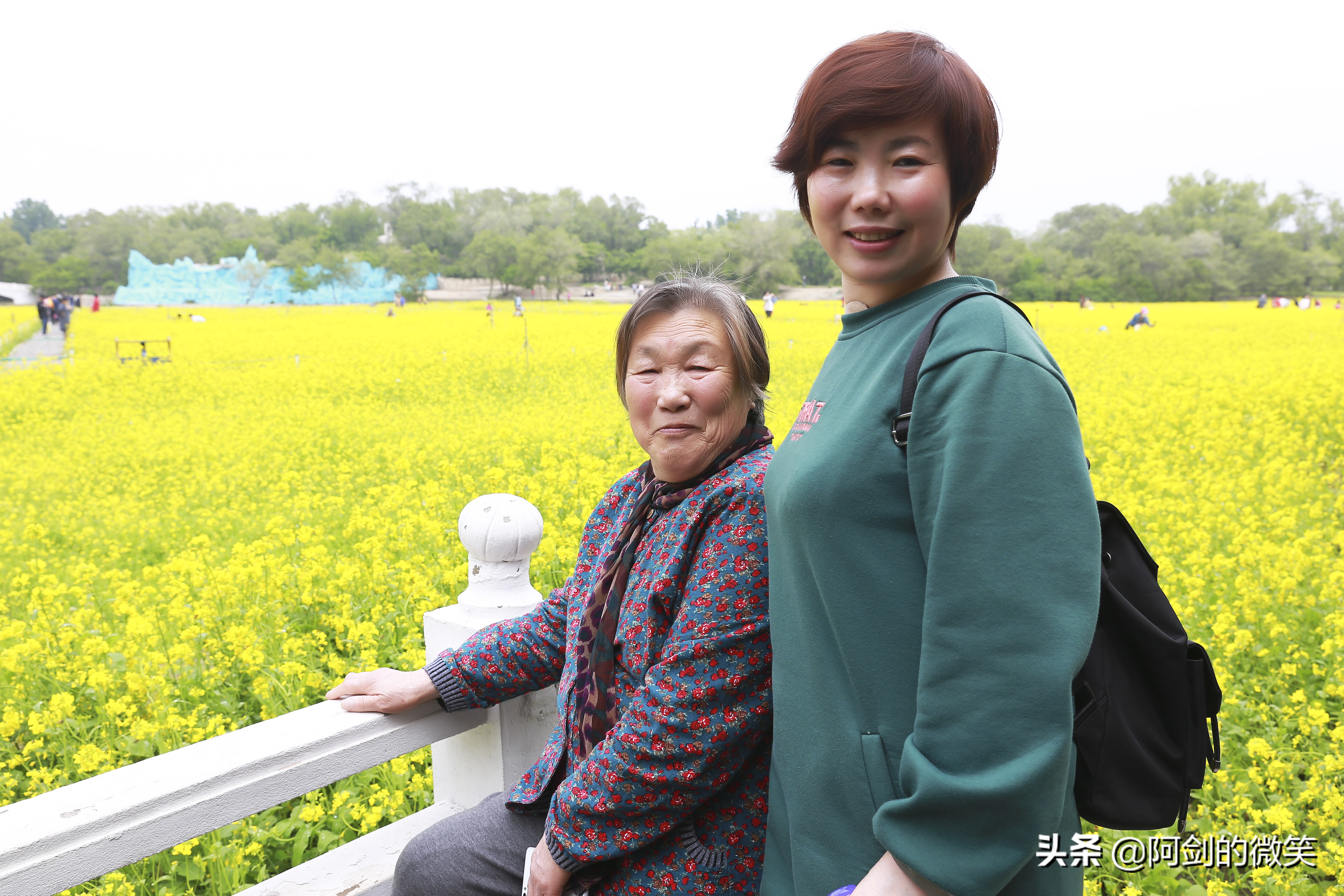 沈阳十一假期哪里有花海,沈阳玫瑰小镇温泉花海两日游