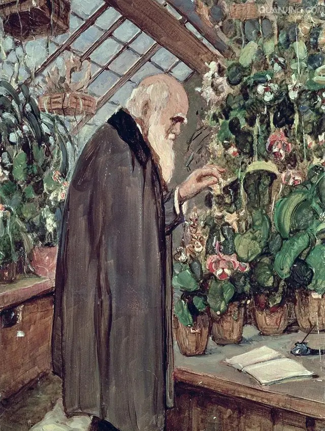 达尔文提出的是进化论还是演化论,达尔文进化论是什么世纪提出的