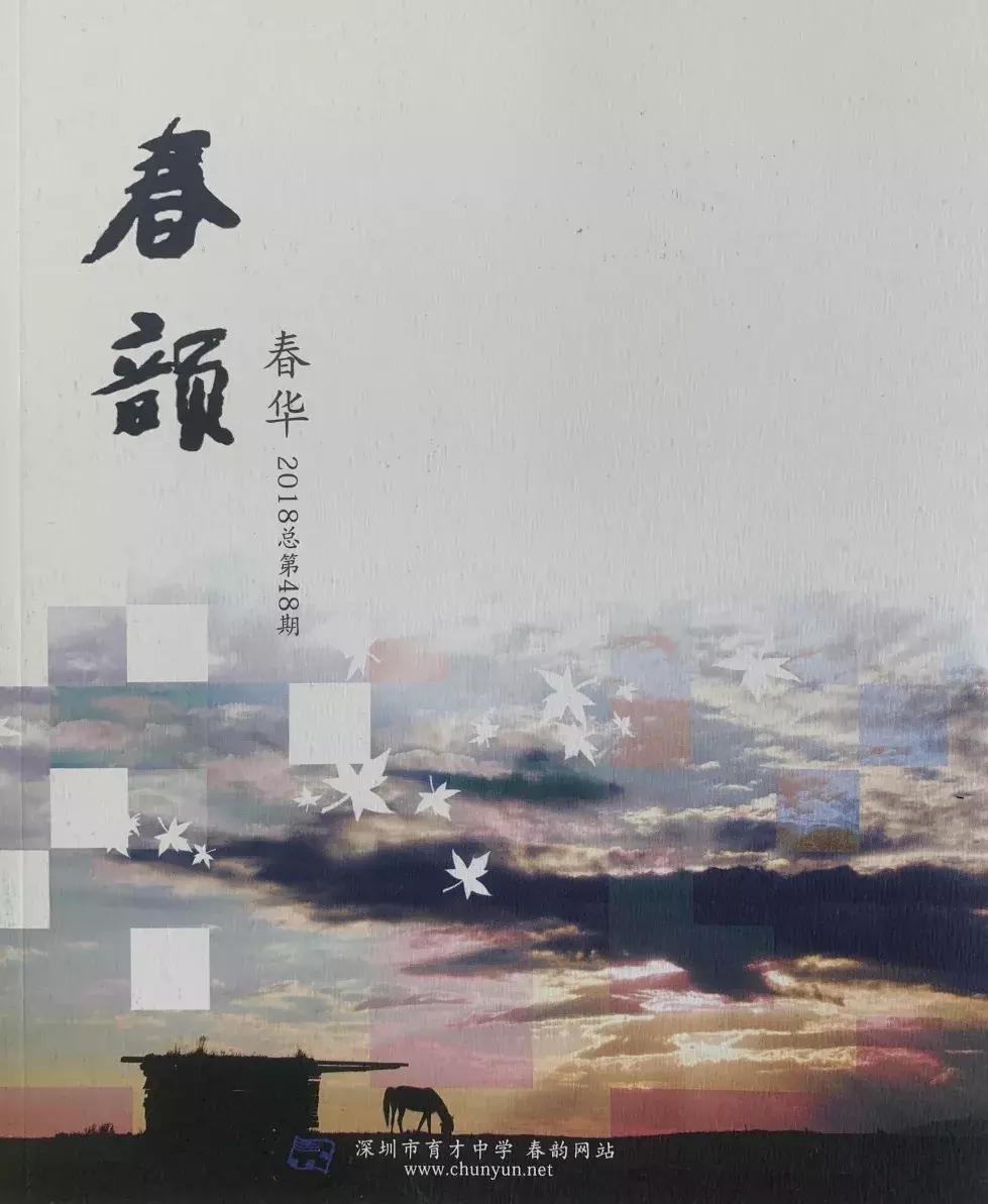 深圳改革40周年国家记忆,深圳教育改革