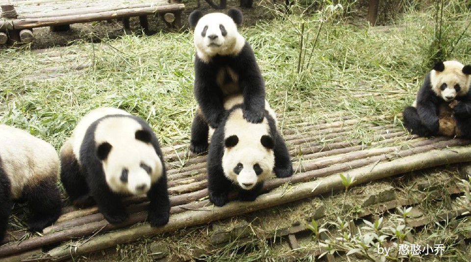 因为你们，“爱豆”的世界离我们不再远咯