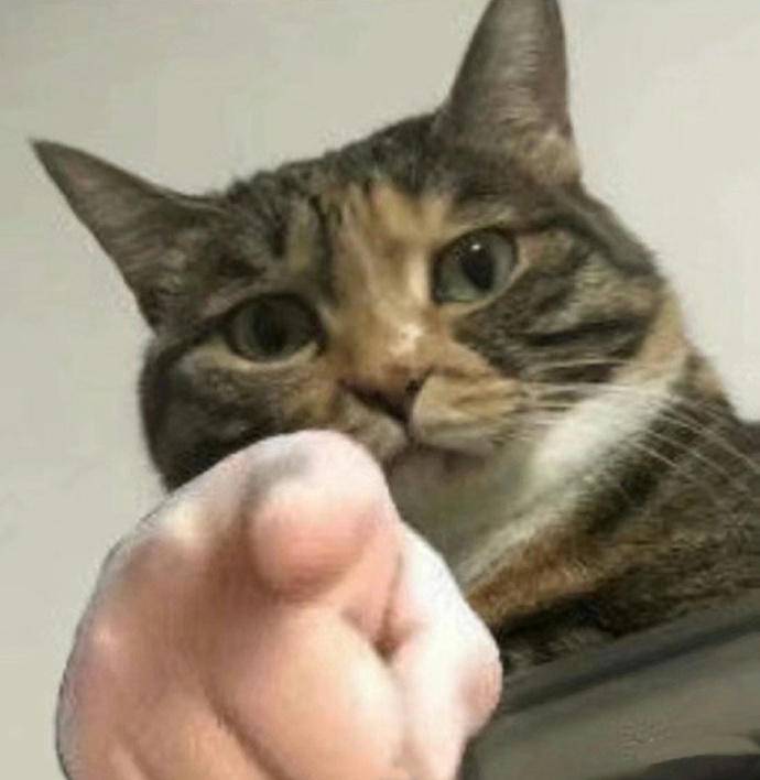 被意大利人骂了这么多年，原来是冤枉的丨互联网冲浪手册