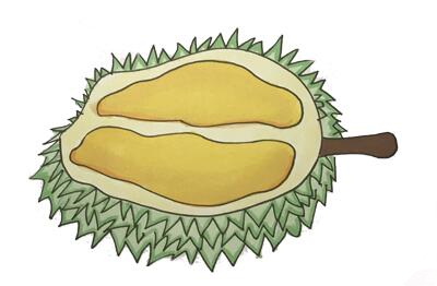 简笔画教你怎么画各种水果,简笔画怎么画各种水果步骤图