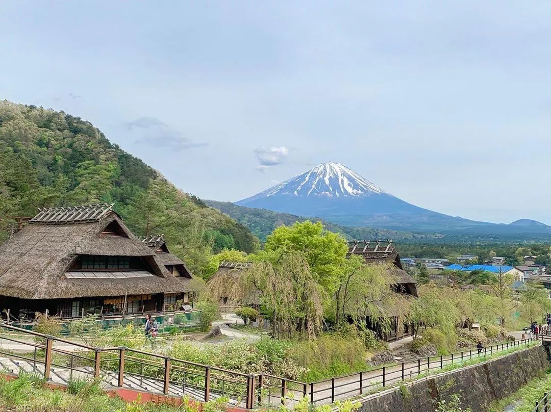 养老手游2020,月兔手游攻略