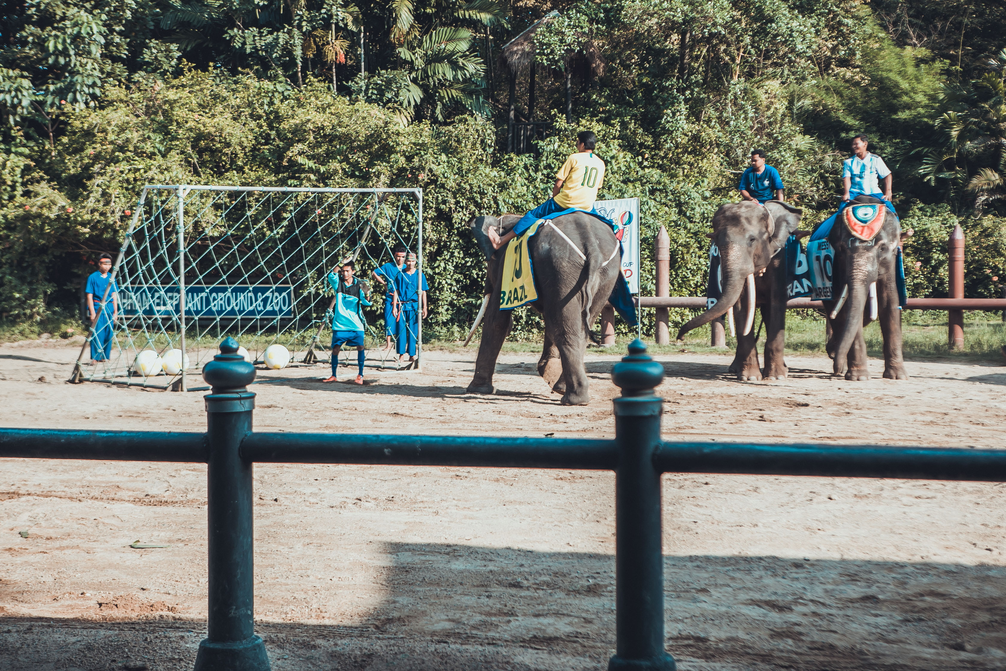 大象在泰国和印度象征着什么,大象是泰国的象征英语