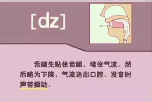 英语音标48个发音谐音表图片,英语音标发音48个教学视频