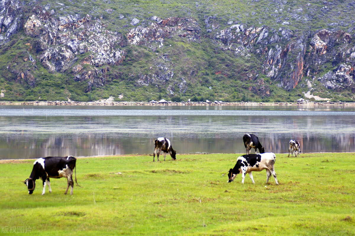云南15天自驾游攻略最佳线路图,首次云南自驾游攻略最佳线路图