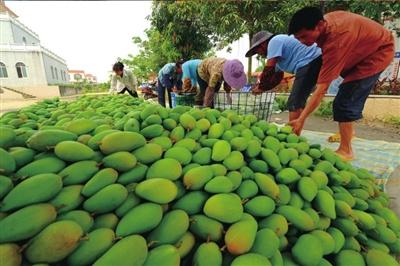 广西有啥能带回来好吃的特产,广西贵港特产大全排名前十名