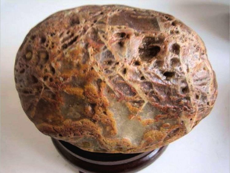 黄顺发紫砂,黄顺发字画