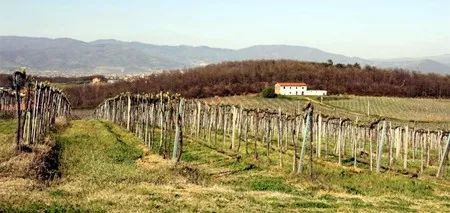 50块钱一瓶的红酒是不是假的,几十块的进口红酒是真的吗