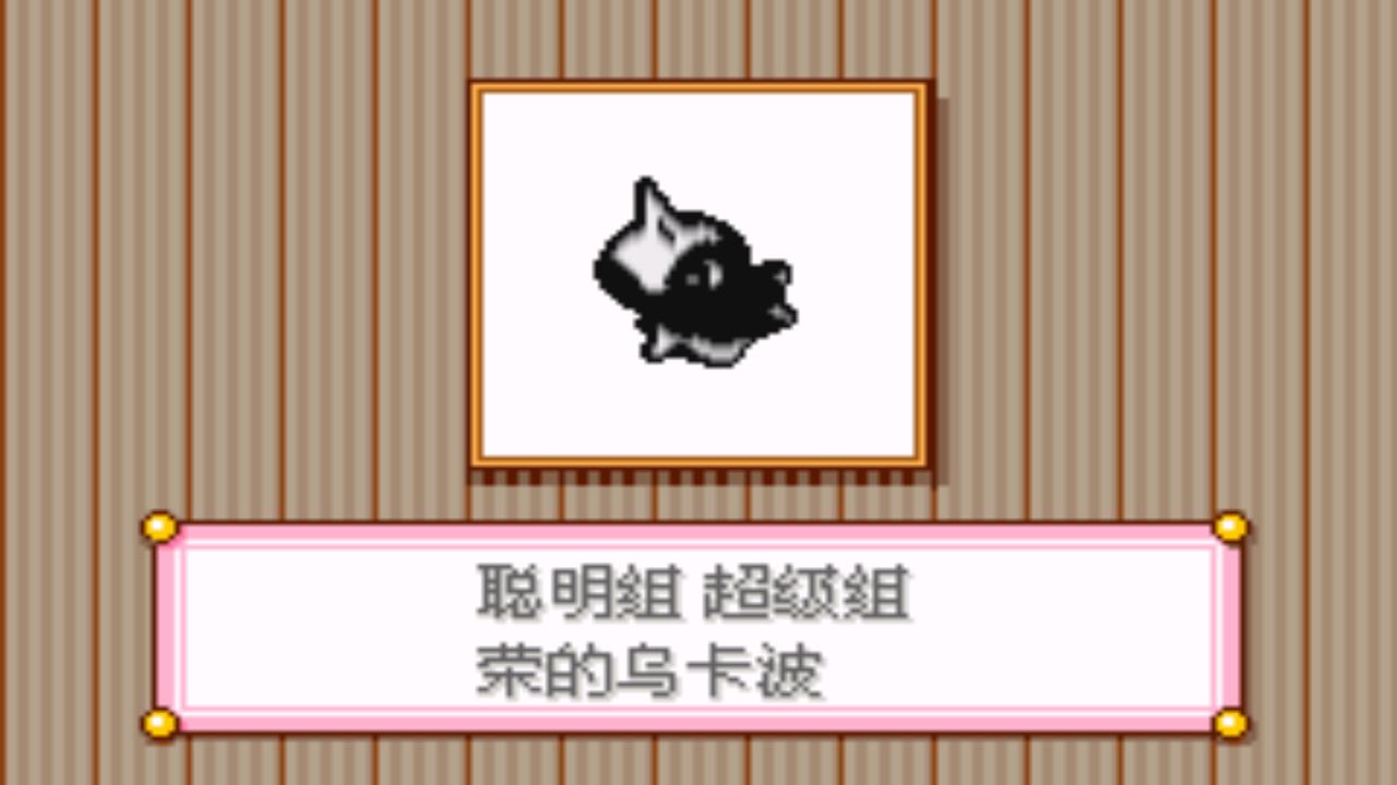 口袋妖怪究极绿宝石4攻略33,口袋妖怪究极绿宝石4完全攻略