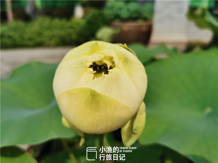 西安最好的网红打卡地,西安离小寨近的网红打卡地景点