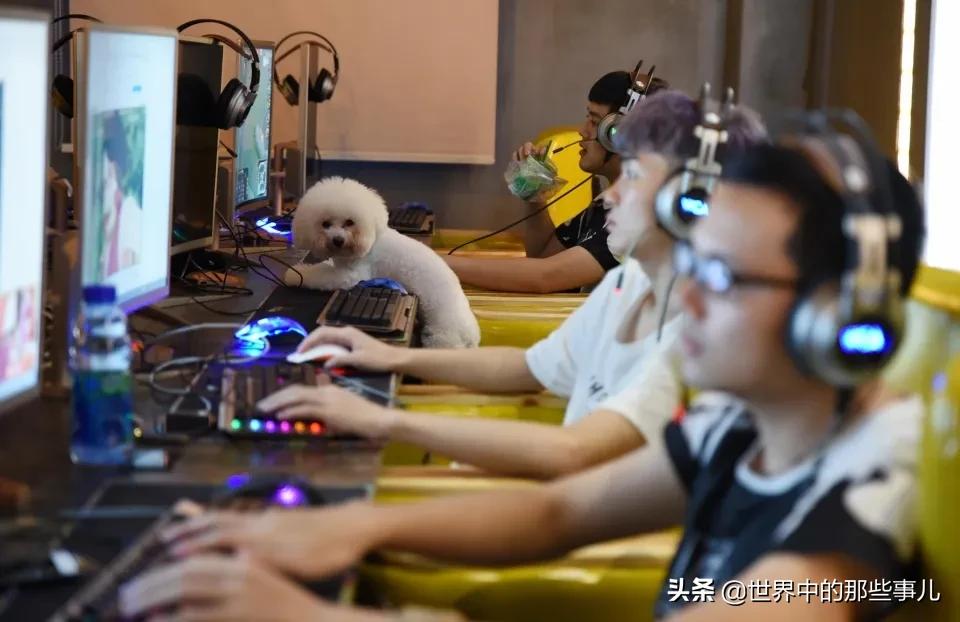 戒掉游戏网瘾的十大方法,怎样戒除网瘾游戏瘾