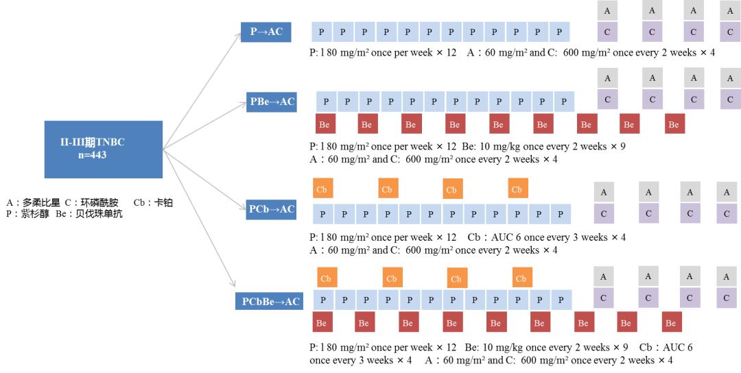 三阴性乳腺癌新辅助治疗迎来「铂」时代！